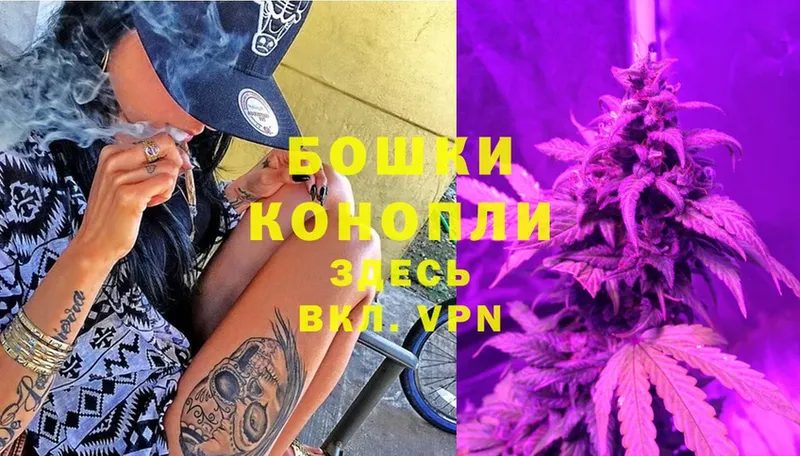 Конопля VHQ  Голицыно 